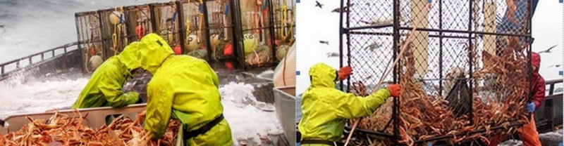 ���킢�I�̒܉��_�����ō��I���T�C�g